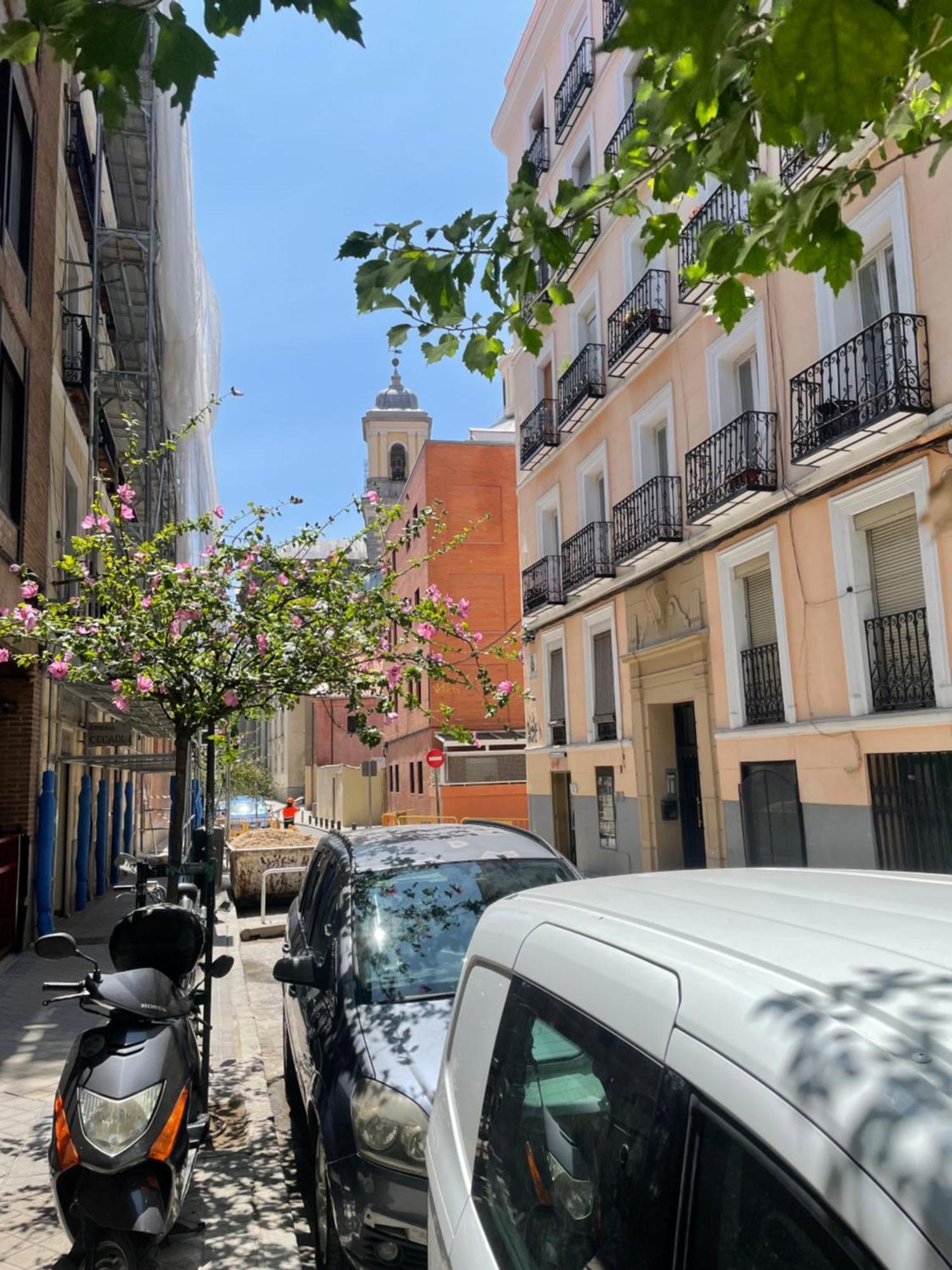 San Buenaventura Vistillas Apartamento Para Dos Apartment Madrid Ngoại thất bức ảnh